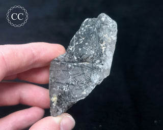 Schorl - Dravite Tourmaline in Quartz #5