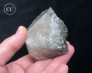 Schorl - Dravite Tourmaline in Quartz #1