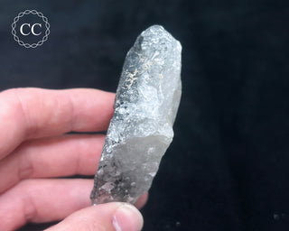 Schorl - Dravite Tourmaline in Quartz #5