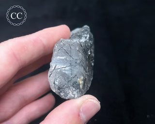 Schorl - Dravite Tourmaline in Quartz #5