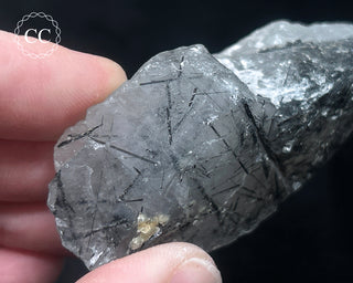 Schorl - Dravite Tourmaline in Quartz #5
