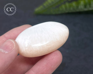 Scolecite Palm Stone #1