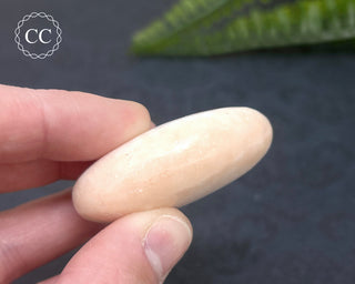Scolecite Palm Stone #1