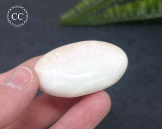 Scolecite Palm Stone #1
