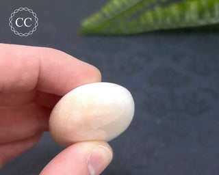 Scolecite Palm Stone #1