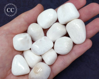 Scolecite Tumbled Crystals in hand