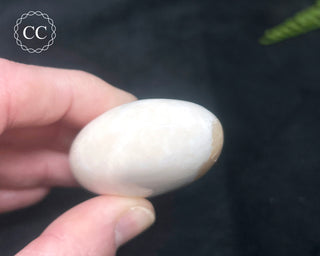 Scolecite with Stilbite Palm Stone #2