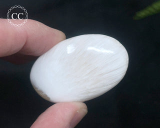 Scolecite with Stilbite Palm Stone #4