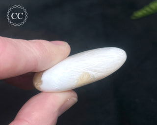 Scolecite with Stilbite Palm Stone #4
