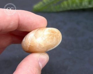 Scolecite & Stilbite Palm Stone #13