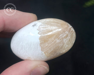 Scolecite with Stilbite Palm Stone #6