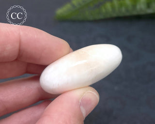 Scolecite & Stilbite Palm Stone #14