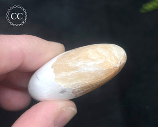 Scolecite with Stilbite Palm Stone #6