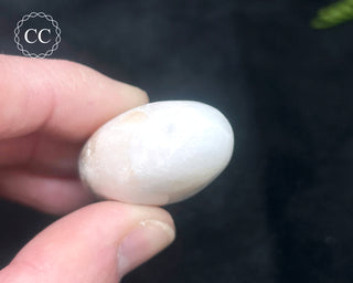 Scolecite with Stilbite Palm Stone #6