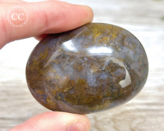Sea Jasper Chunky Palm Stone #3
