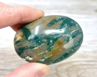 Sea Jasper Chunky Palm Stone #4