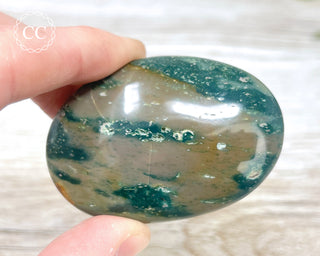 Sea Jasper Chunky Palm Stone #4