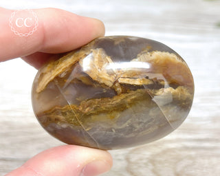 Sea Jasper Chunky Palm Stone #6