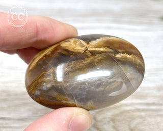 Sea Jasper Chunky Palm Stone #6