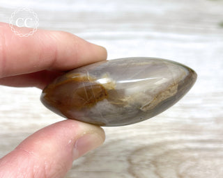 Sea Jasper Chunky Palm Stone #6