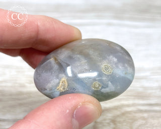 Sea Jasper Chunky Palm Stone #8