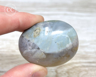 Sea Jasper Chunky Palm Stone #8