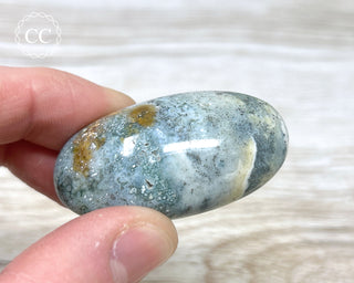Sea Jasper Chunky Palm Stone #9