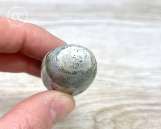 Sea Jasper Chunky Palm Stone #9