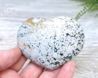 Sea Jasper Heart #10