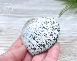 Sea Jasper Heart #10