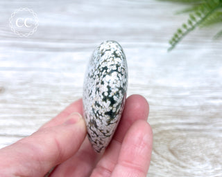 Sea Jasper Heart #10