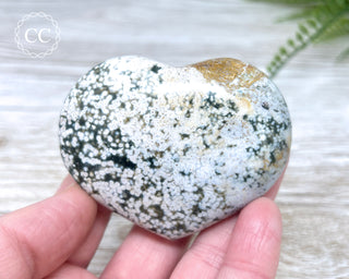 Sea Jasper Heart #10