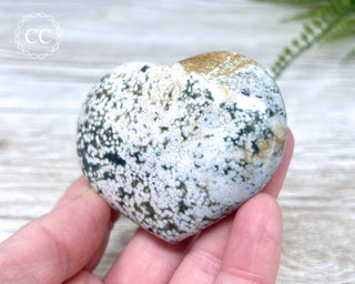 Sea Jasper Heart #10