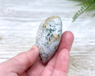 Sea Jasper Heart #10