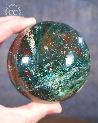 A hand holding a Sea Jasper Sphere from Madagascar