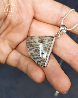 Sealstone Silver Necklace #1