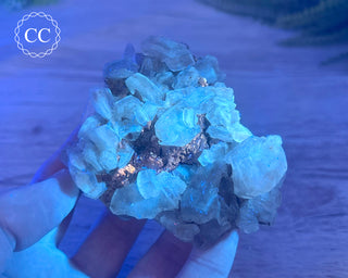 Selenite Cluster - UV Reactive #1