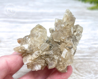 Selenite Cluster - UV Reactive #5