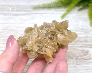 Selenite Cluster - UV Reactive #3