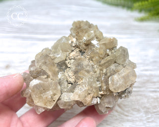 Selenite Cluster - UV Reactive #1