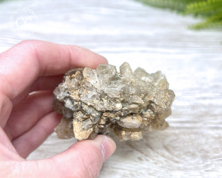 Selenite Cluster - UV Reactive #1