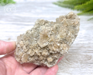 Selenite Cluster - UV Reactive #3