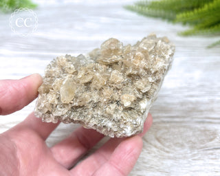 Selenite Cluster - UV Reactive #3