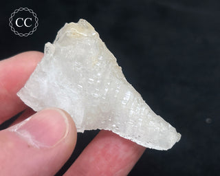 Selenite Cluster - Mexico #1