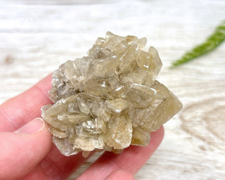 Selenite Cluster - UV Reactive #1