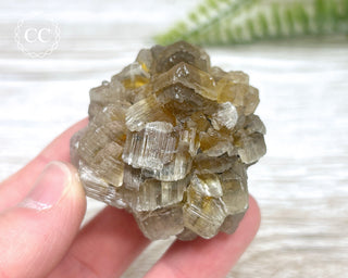 Selenite Cluster - Canada #2