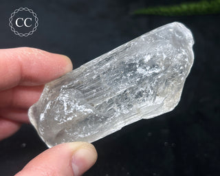 Selenite Crystal - Spain #9