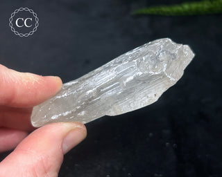 Selenite Crystal - Spain #9