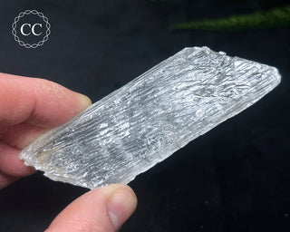Selenite Crystal - Spain #11