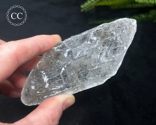 Selenite Crystal - Spain #3